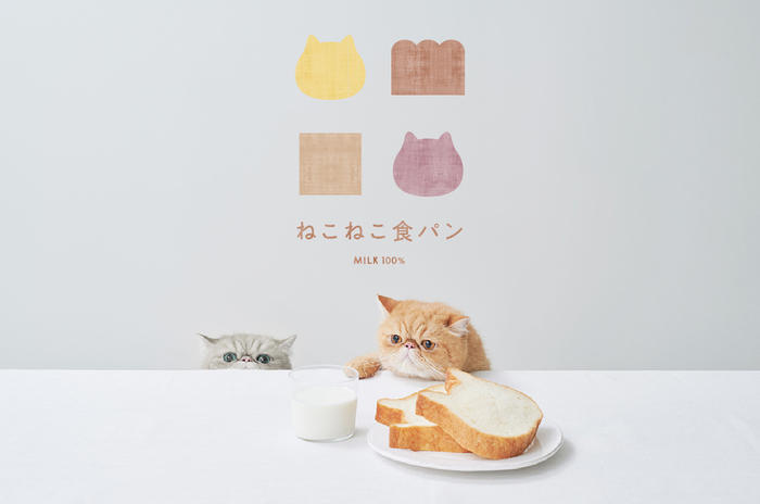猫とねこねこ食パン