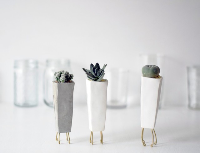 walk pot tall 植物