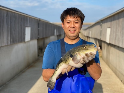 とらふぐ生産者