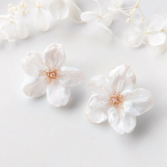 【受注制作】Everpink Sakura. 本物のお花　桜のスタッドピアス(14kgfゴールドフィルド)　ソメイヨシノ