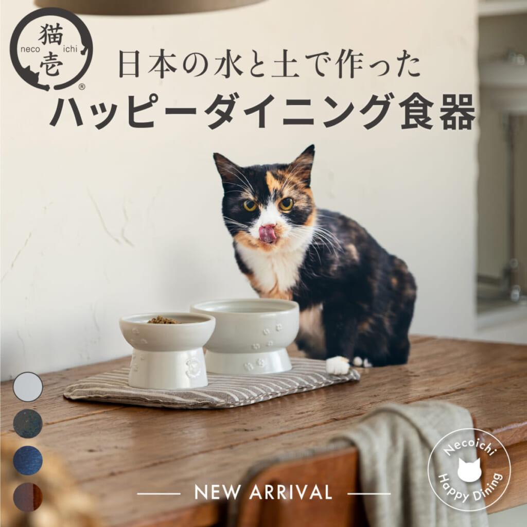 大人気猫用食器にMade in Japan商品が誕生！