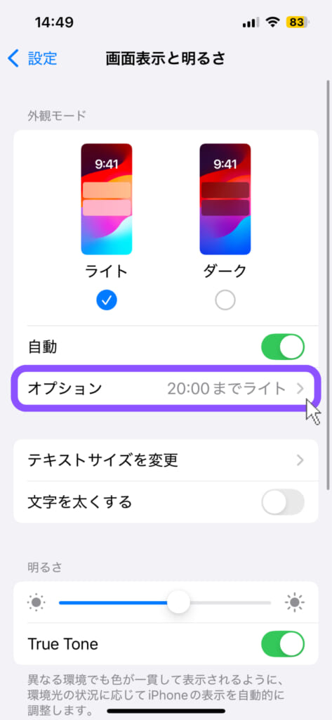 iPhone設定「画面表示と明るさ」のオプションを選択するスクリーンショット