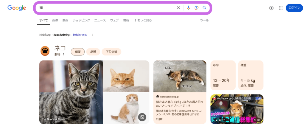 Google検索バーで「猫」と検索した様子