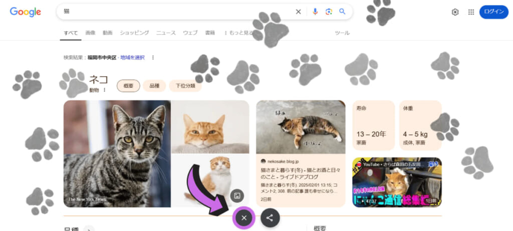 Googleの隠しコマンド「猫の手モード」の解除する様子