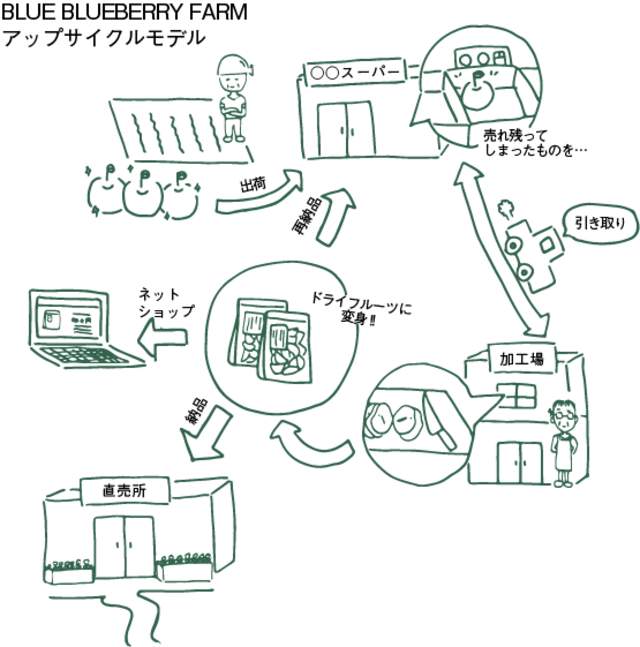 見切り品になった果物をドライフルーツにしてアップサイクル