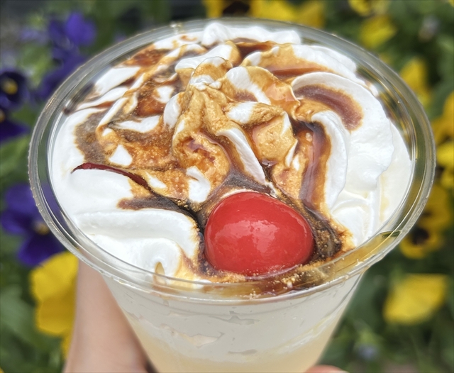 フラッペ クラシックプリン 上面