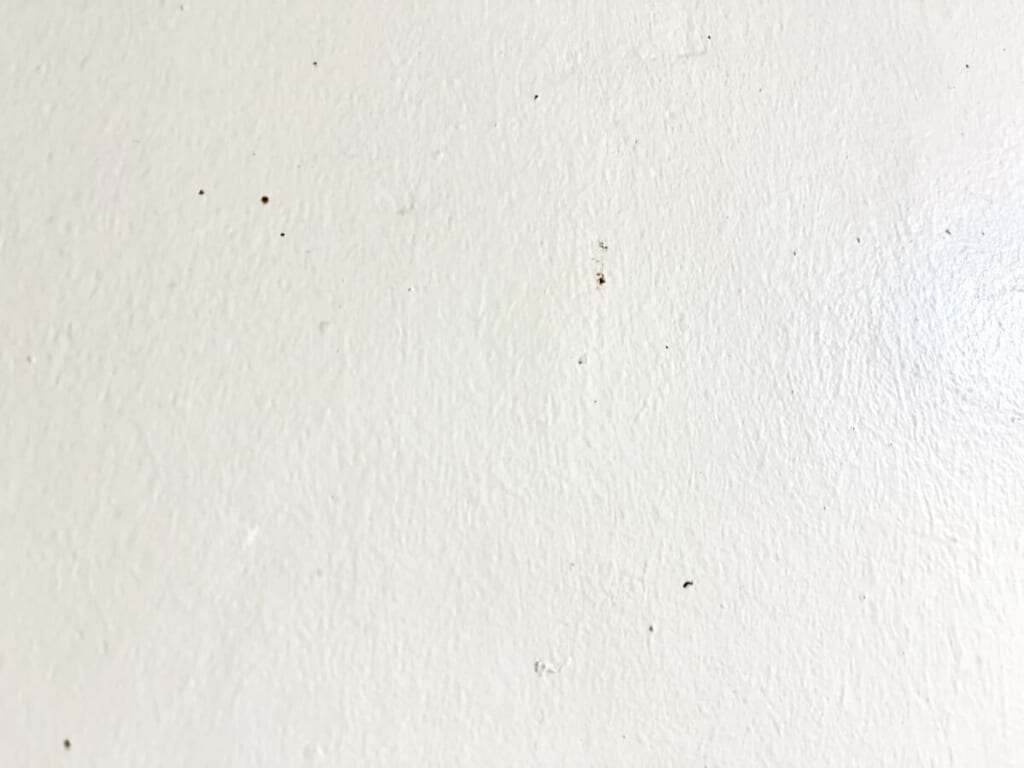 浴室の壁にある黒カビ