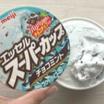 スーパーカップチョコミント