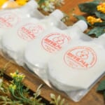 常滑牛乳アイス