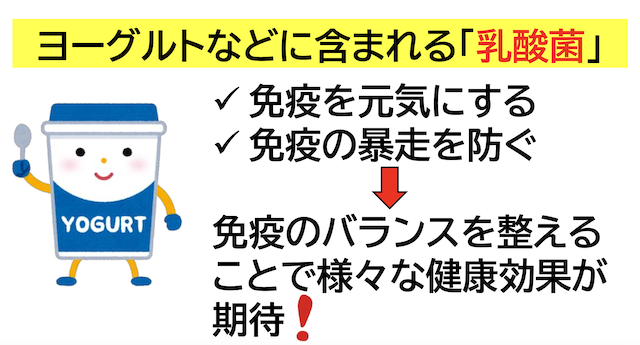 短鎖脂肪酸が免疫力のカギ？食物繊維と乳酸菌で整える腸のチカラヨーグルト　乳酸菌