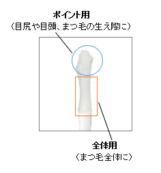 まつ毛セラムII　説明
