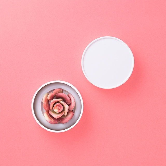 ペタル・シェリー　