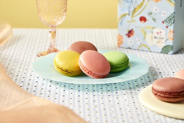 彩りマカロン
