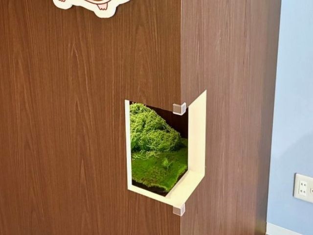 「とっとこハムタウンショップ」穴