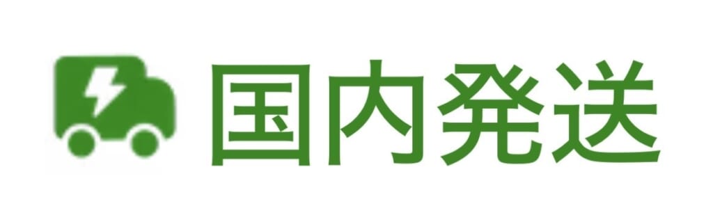 TEMU　国内発送