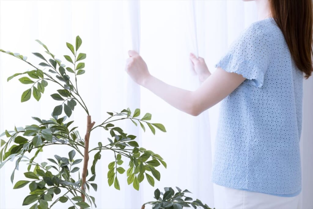 窓際の女性