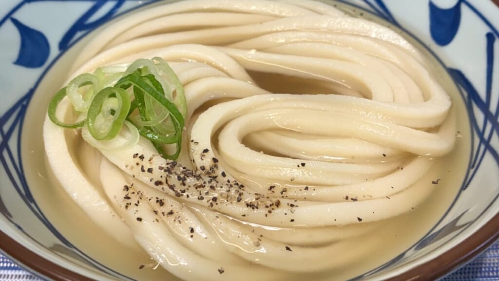 冷たーい旨塩うどん　