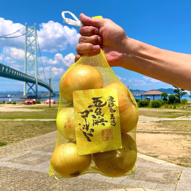 地元でしか食べられなかった糖度11度以上のとろける玉ねぎが全国へ