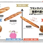 フランスパンの食感の違いマトリクス 1200-2