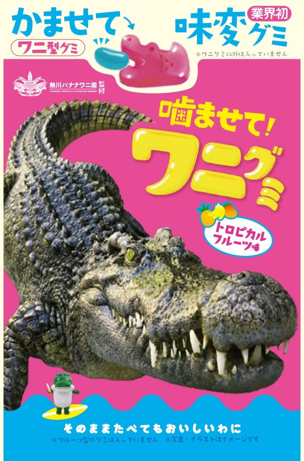 リアルパッケージ